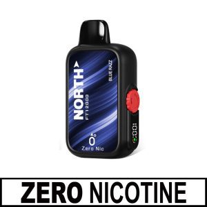 North FT12000 (12K Puffs) – Nicotine Free (0%)